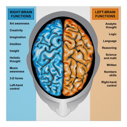 ポスター人間の脳は左右に作用します_ポスター-r260ea64085694fdb93e1855434c226dc_wh5_8byvr_540.jpg
