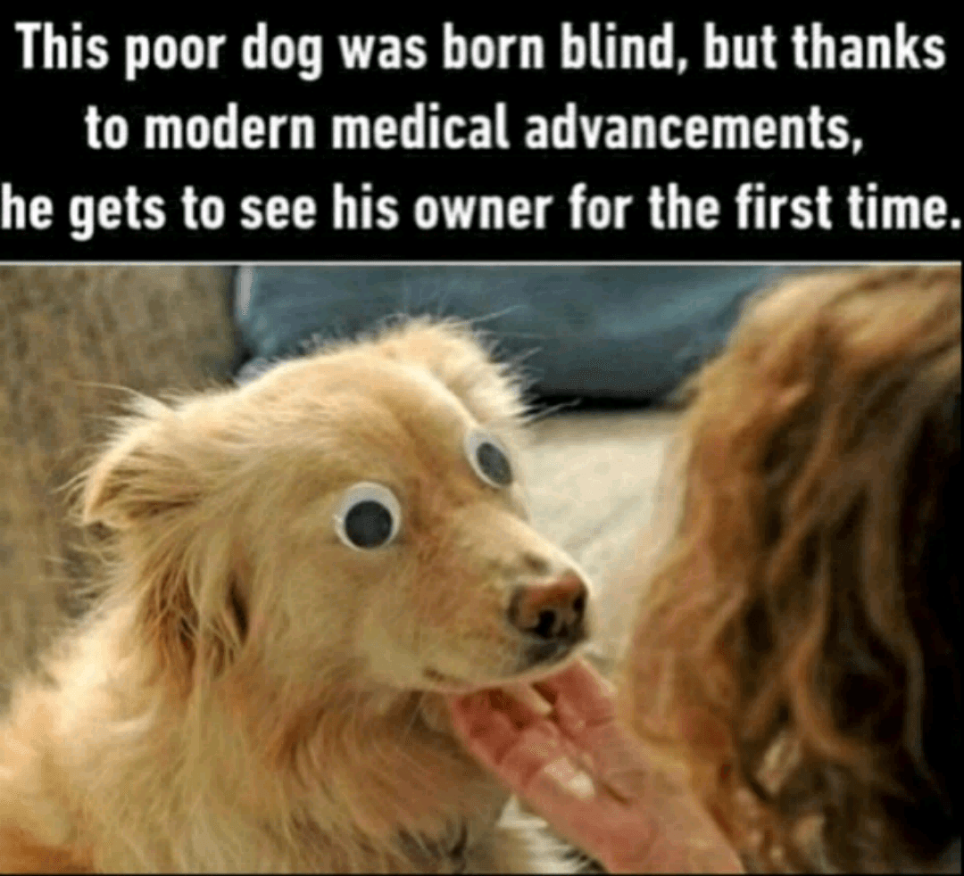 20161209_110021.png