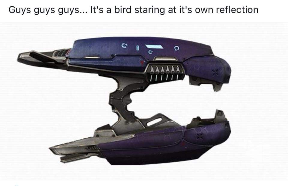22894466_1754106391290780_6221676194023994781_n.jpg