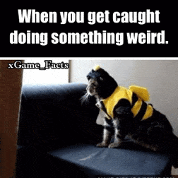 541b35358f74f8ce7c17650c415db7d70a47e4f2df47d69562c39c0abb7c1469_1.gif