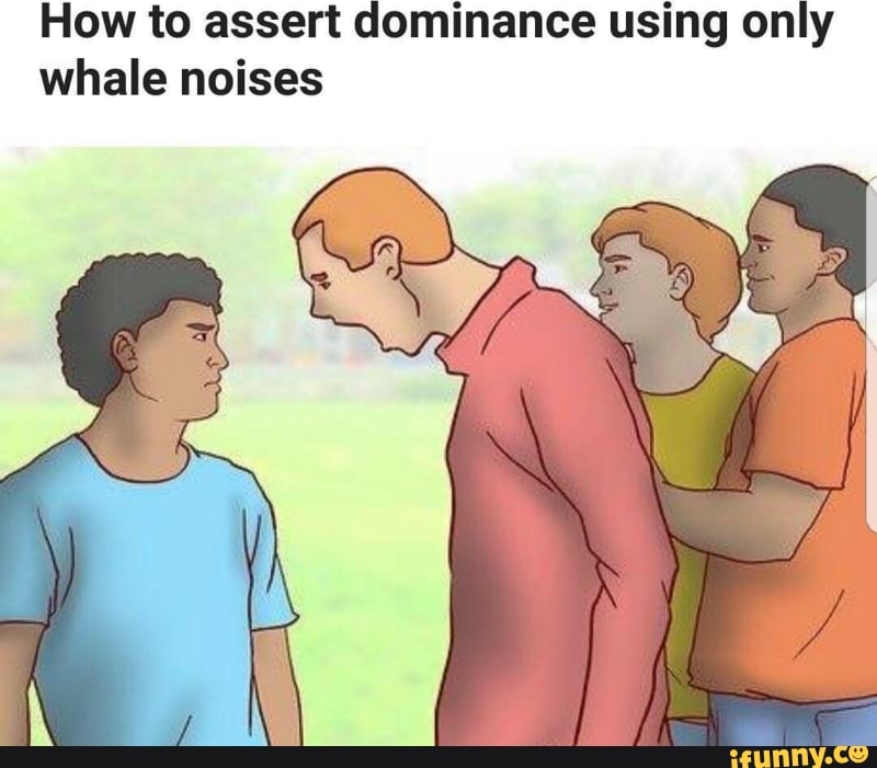 63c1b8a3dd0dc6c857cb1d11f4d343671dc24bdd4cb3b67156814df7ad75bce3_1.jpg