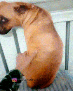 89b9c2f5c783a9-a-nw-p.gif