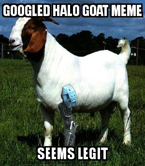 a3lg.jpg
