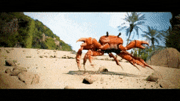 crab rave.gif