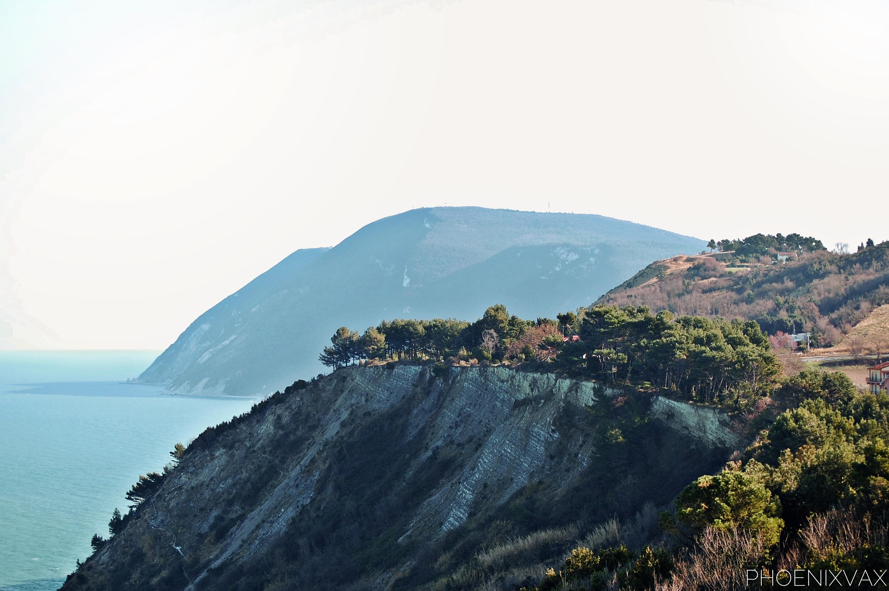 DSC_0443.JPG