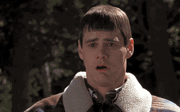 giphy-1.gif