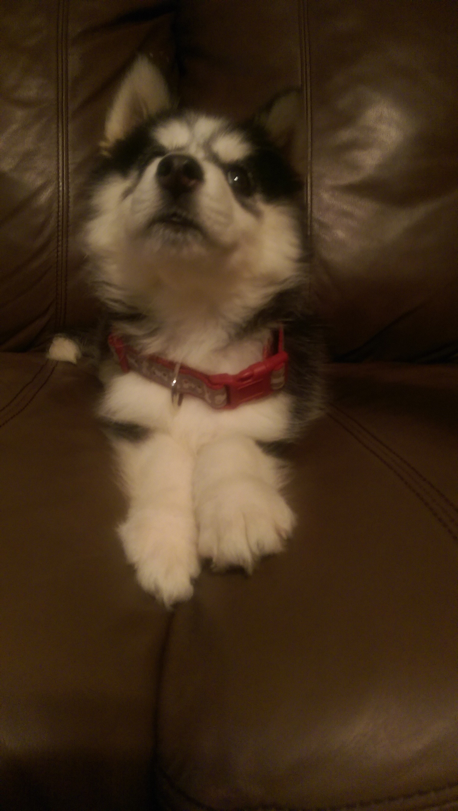 IMAG0657.jpg