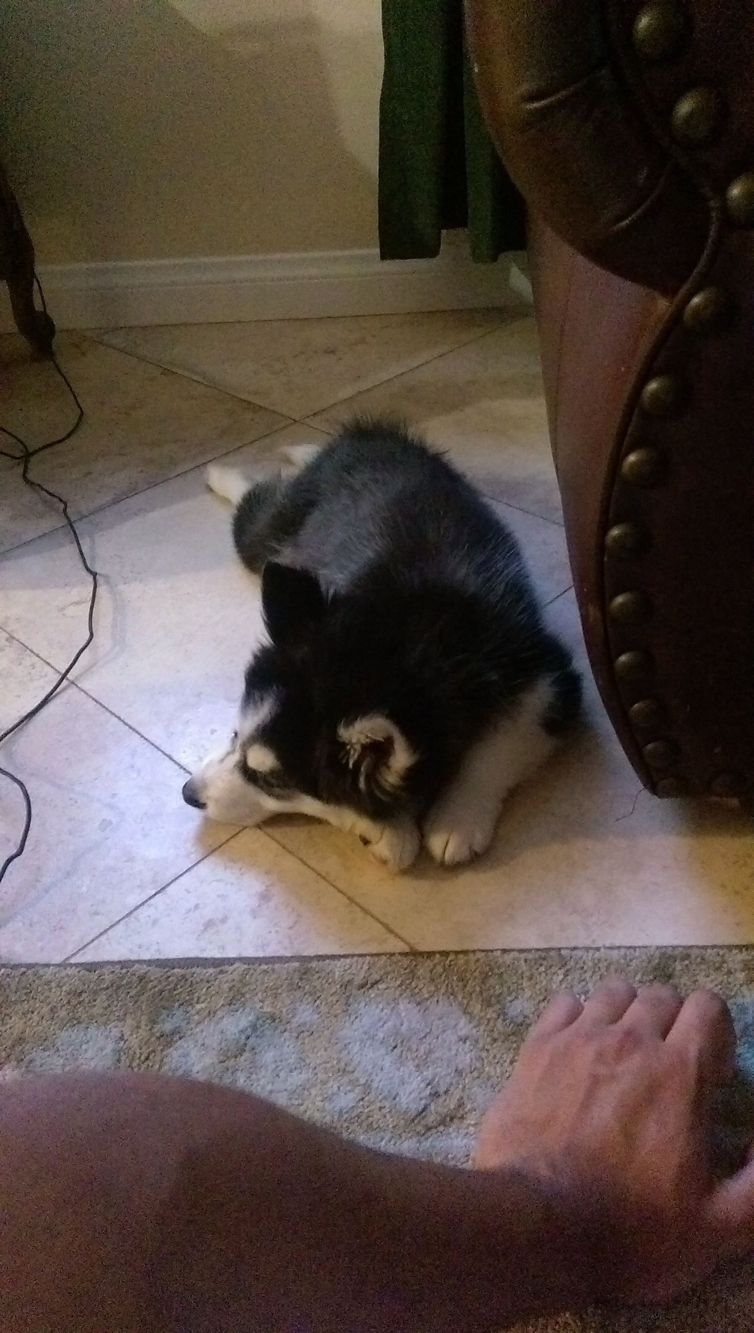 IMAG0669.jpg