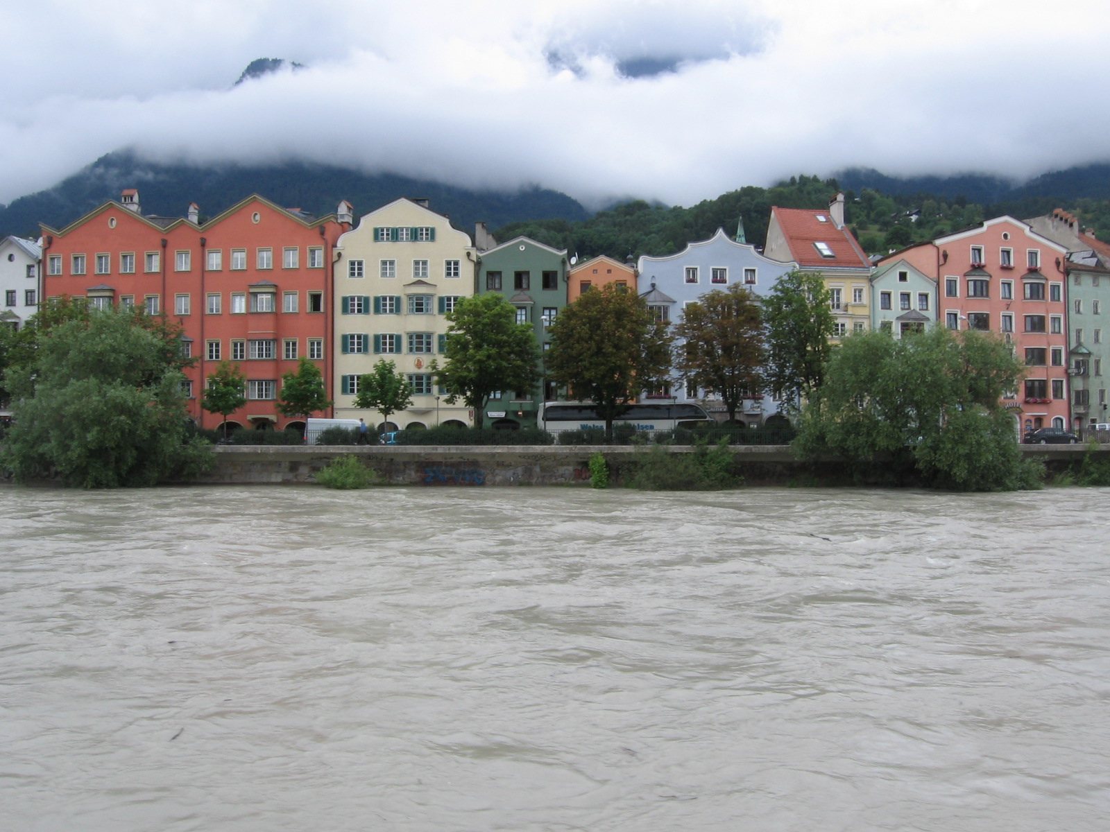 IMG_2769.JPG