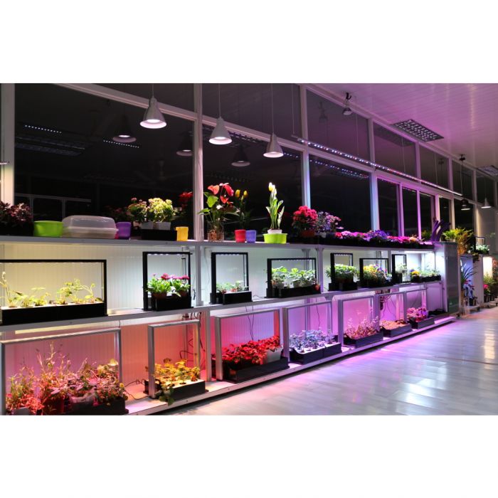pgl-m20_mini_farm_003_1_.jpg