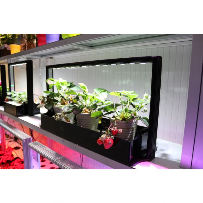 pgl-m20_mini_farm_004.jpg