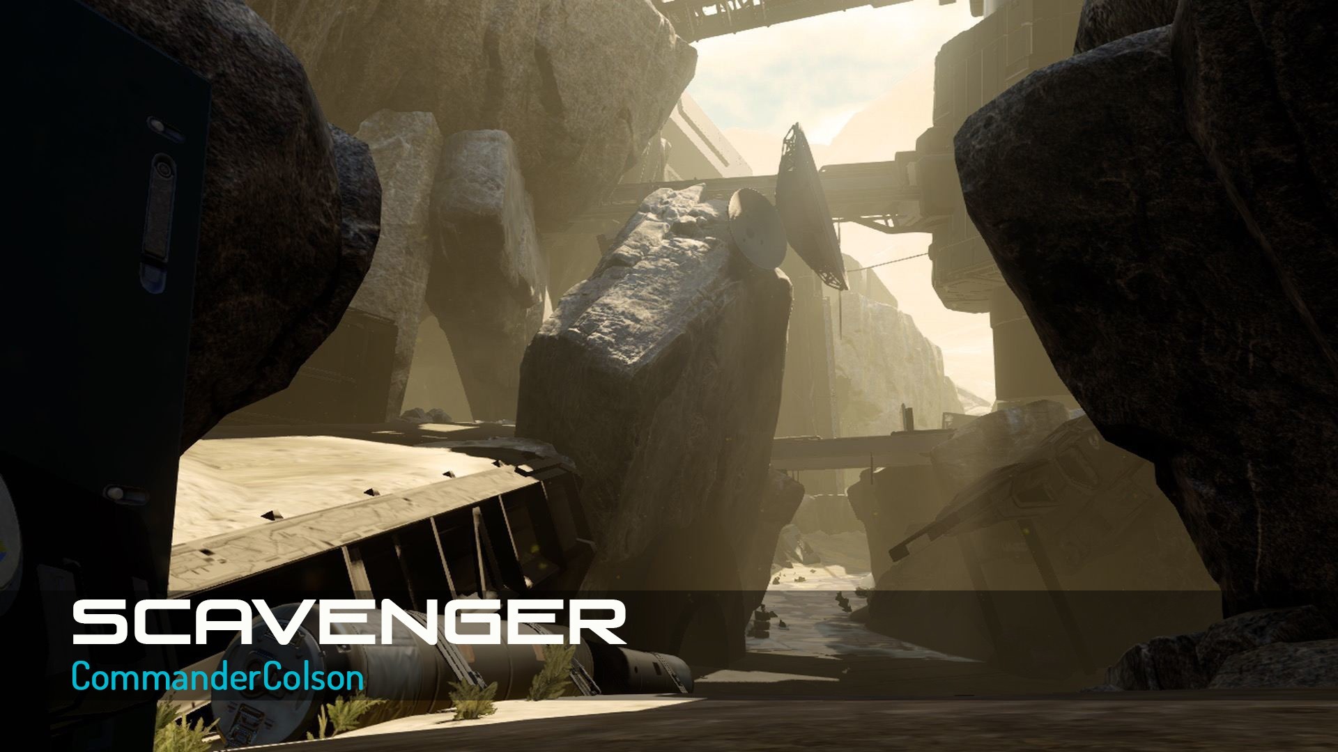 scavenger.jpg