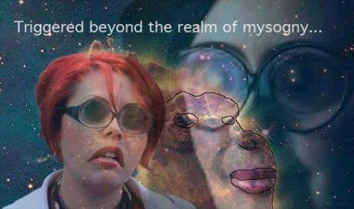Weneedinterncampsforfeminazis.jpg