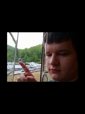 image.jpg