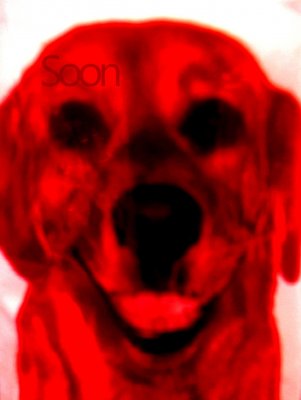 Edited_ImageEasyImageEditor_20160809_33.jpg