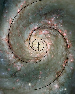 In effect, the Fibonacci sequence describes how things grow, building ___.jpg