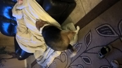 WP_20161031_21_19_41_Pro.jpg
