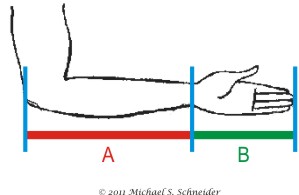 Golden Ratio Knife Geometry.jpg