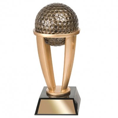 Solo Trophy.jpg