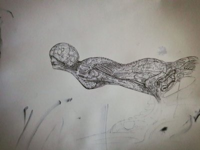 art 7.jpg
