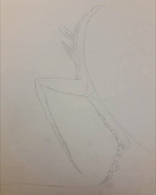 art 34.jpg
