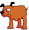 CK CUJO