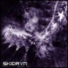 Skidryn