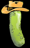 cowboypickle23