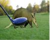 aardvarkgenocide