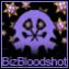 BizBloodshot