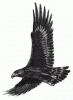 CbK o BlackHawk