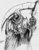 ShadowKnight