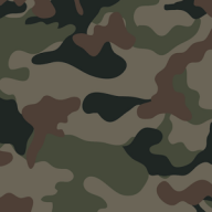 CamoCover