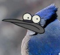 Twarp