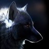 Umbrawolf9
