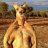 KangarooBrandon